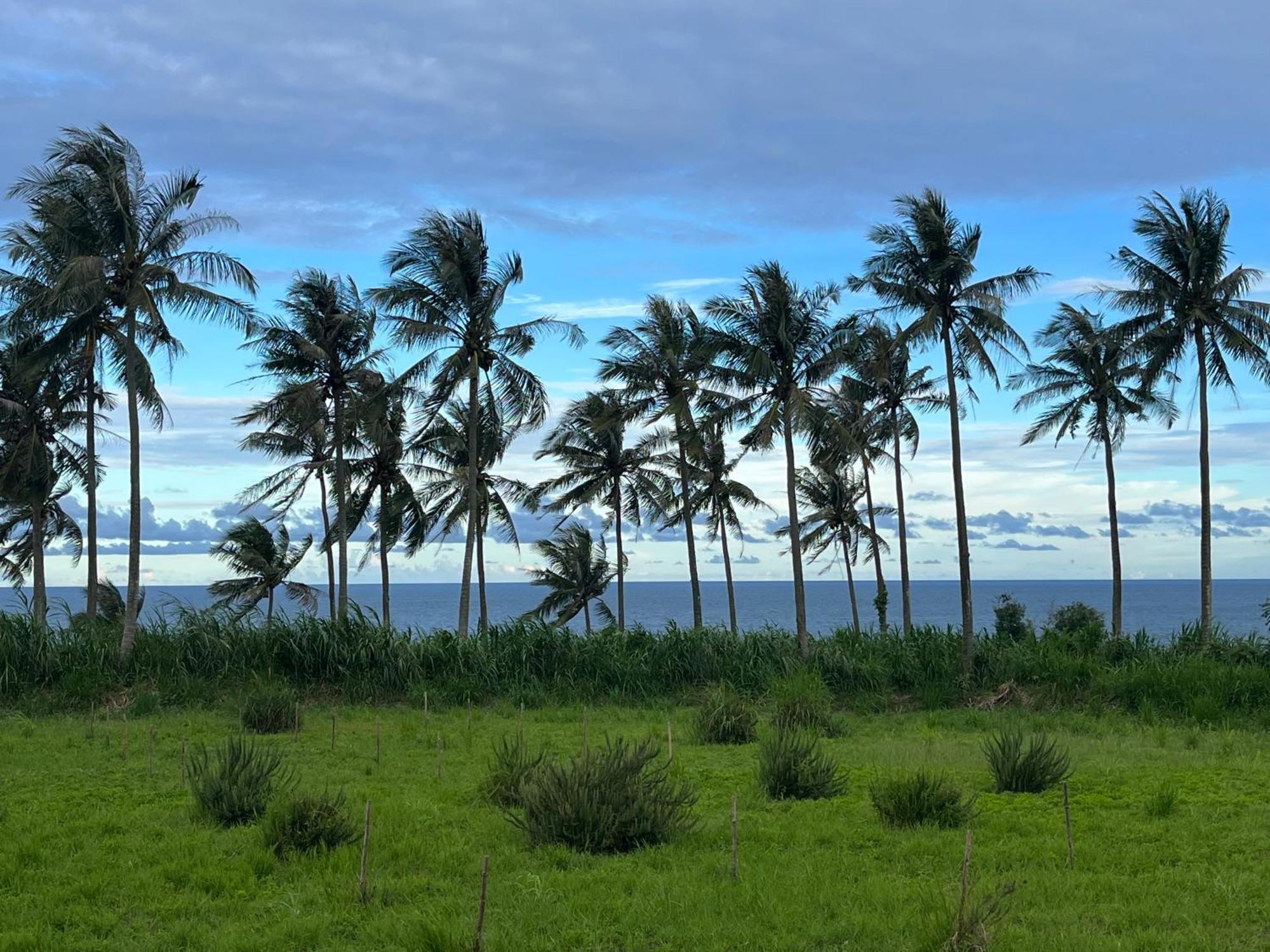 春夏秋冬海景民宿ocean View Motel Csengkung Kültér fotó
