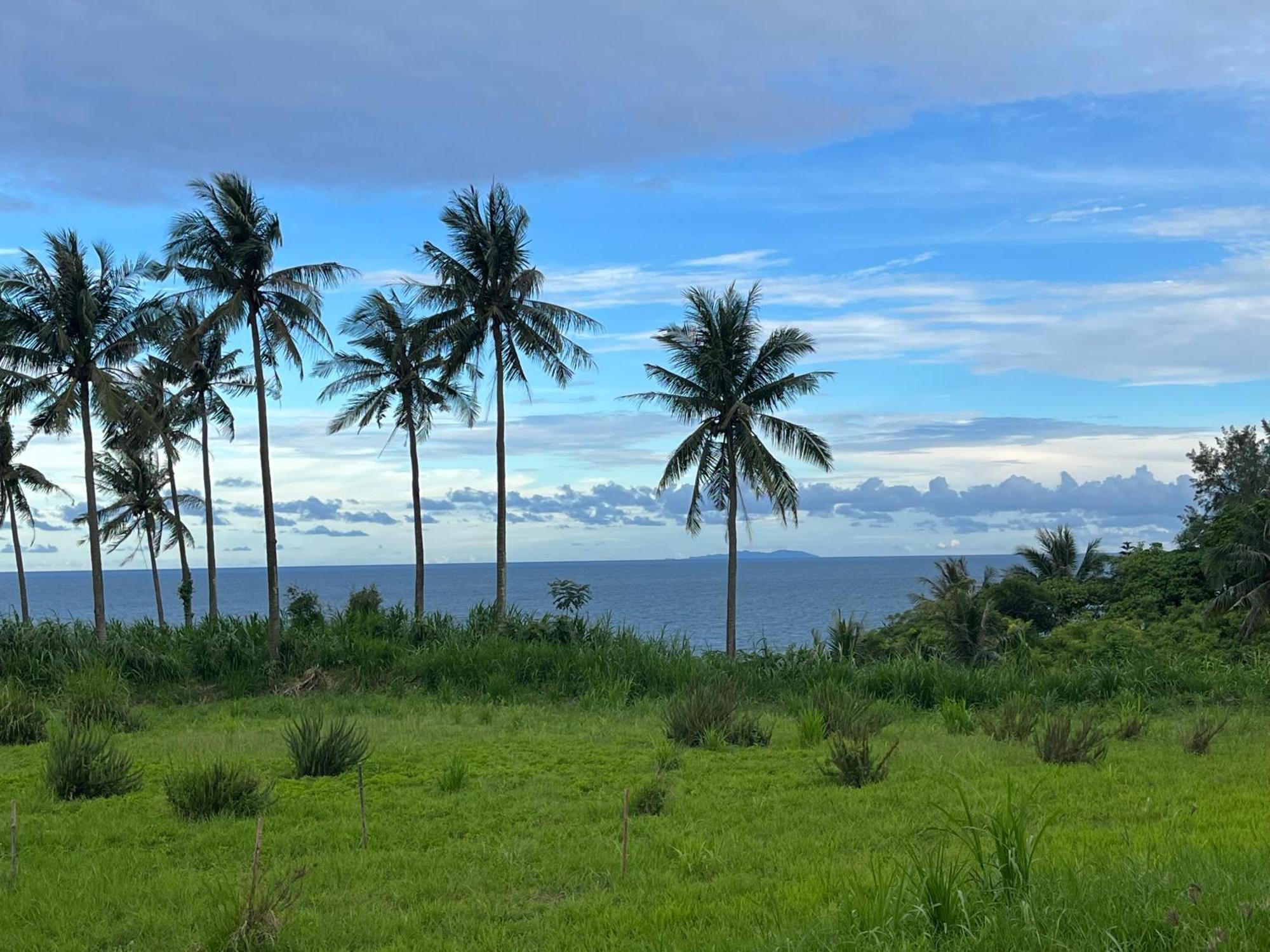 春夏秋冬海景民宿ocean View Motel Csengkung Kültér fotó
